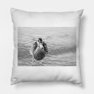 Cute Funny Duck Portrait Black and White Pillow