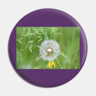 Bright Dandelion flower Scraf Pin