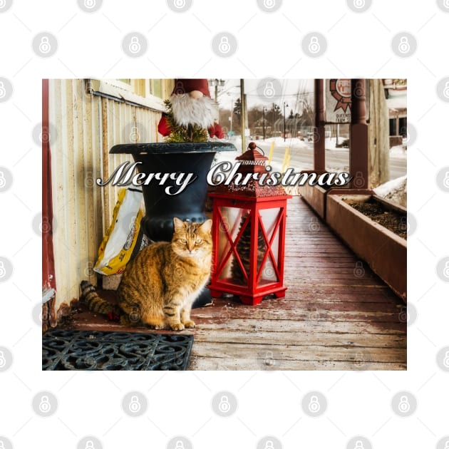 Country Store Christmas Cat 2 by Robert Alsop