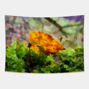 An Autumn leaf in the forest Tapestry