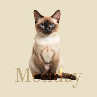 Monday cat (the week is starting...) T-Shirt