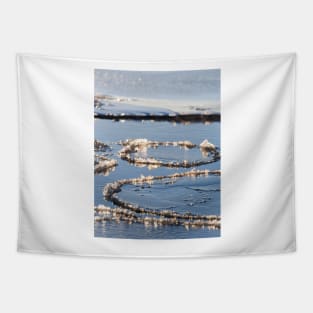 Baltic Sea Ice Tapestry