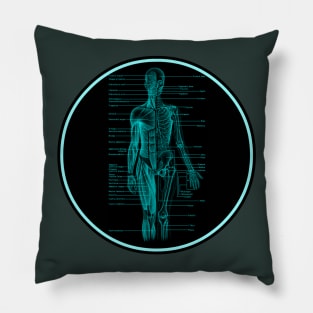 Always Learning: Awesome Anatomy Pillow