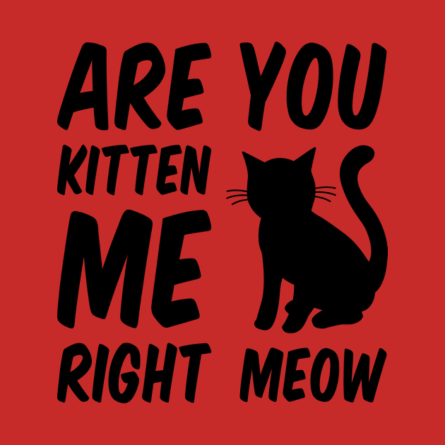 Are You Kitten Me Right Meow by Everydayoutfit