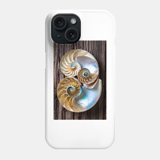 Three chambered nautilus Phone Case by photogarry