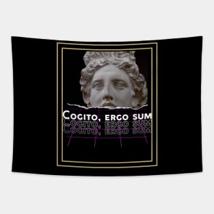 cogito, ergo sum urban style, aesthetic art. Tapestry