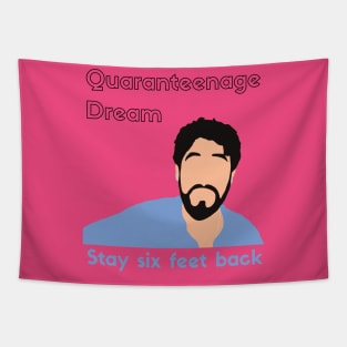 Quaranteenage Dream (shirt) Tapestry