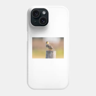 Quizzical Meadowlark by Debra Martz Phone Case