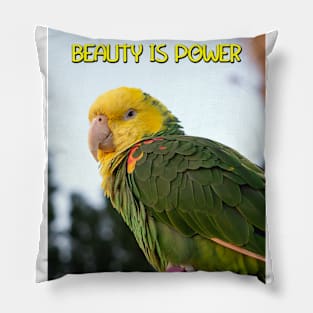 BEAUTY IS POWER Pillow