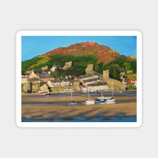 Conwy Magnet