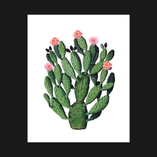 Vintage Cactus botanical illustration T-Shirt