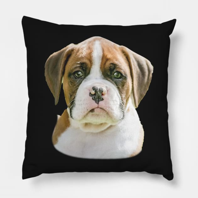 Flashy Fawn Boxer puppy Pillow by 3QuartersToday