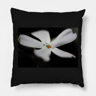 White Phlox Macro Pillow