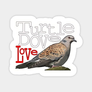 Turtle Dove Love Magnet