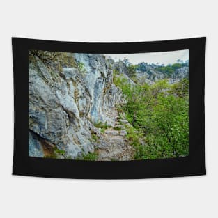 Rocky trail on mountains Tapestry