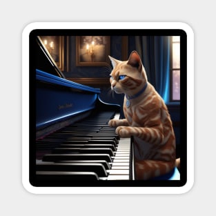 A Feline Blues Piano Player Sensation: Ramsey's Rise To Stardom Magnet