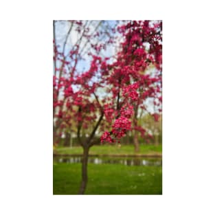 Flowering tree in the park T-Shirt