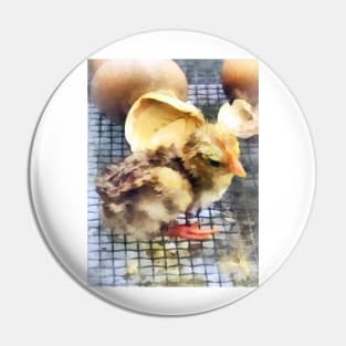 Chickens - Just Hatched Pin