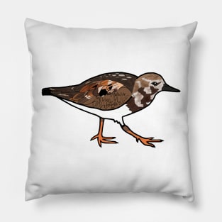 Ruddy Turnstone - Dry Tortugas Bird Pillow