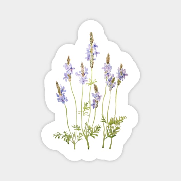 purple fernleaf lavender watercolor Magnet by colorandcolor