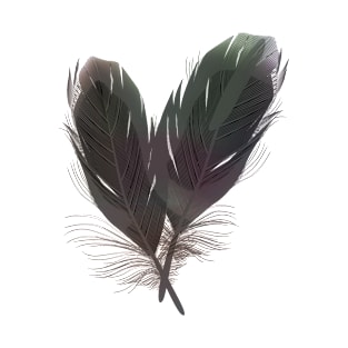 realistic heart feather black and white T-Shirt