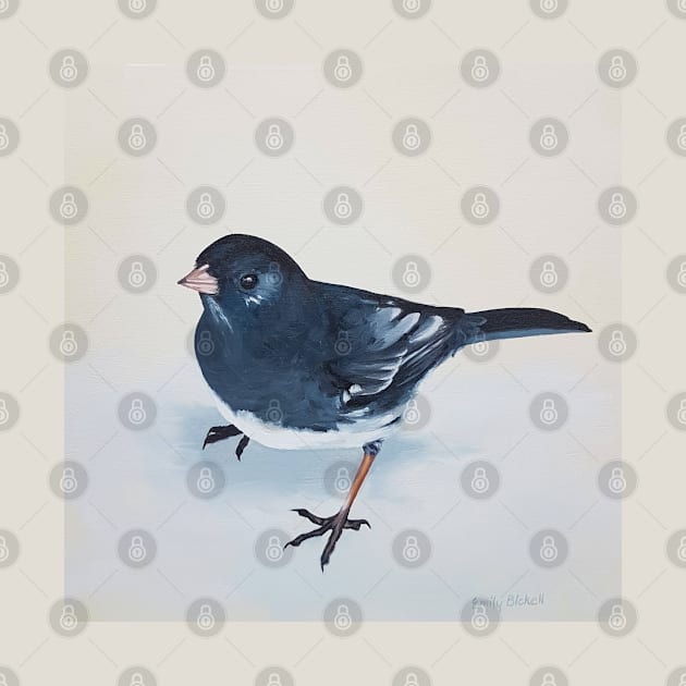 Dark-eyed Junco bird painting by EmilyBickell