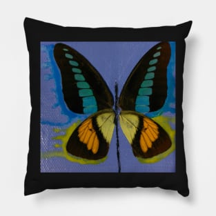 Frankenfly Pillow