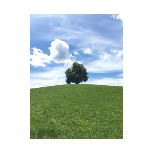 Solitary Tree atop a hill in Switzerland by Dturner29