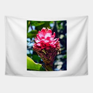 Pink Ginger Tropical Flower Plant Tapestry