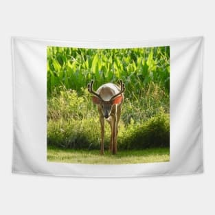 Whitetail Deer, Wild Animals, Wildlife Photography, Gifts Tapestry