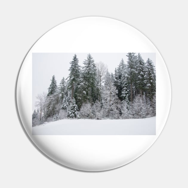 The Majestic Snow Covered Trees Pin by KirtTisdale