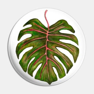 Big monstera leaf Pin