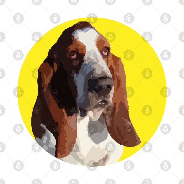 Basset Hound by NV