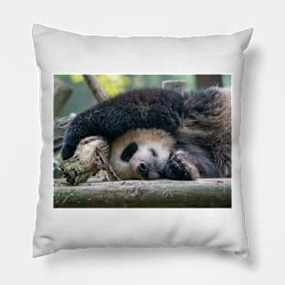 Panda Nap Time Pillow