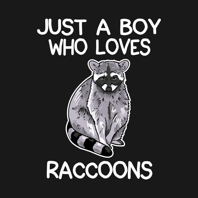 Raccoon Image