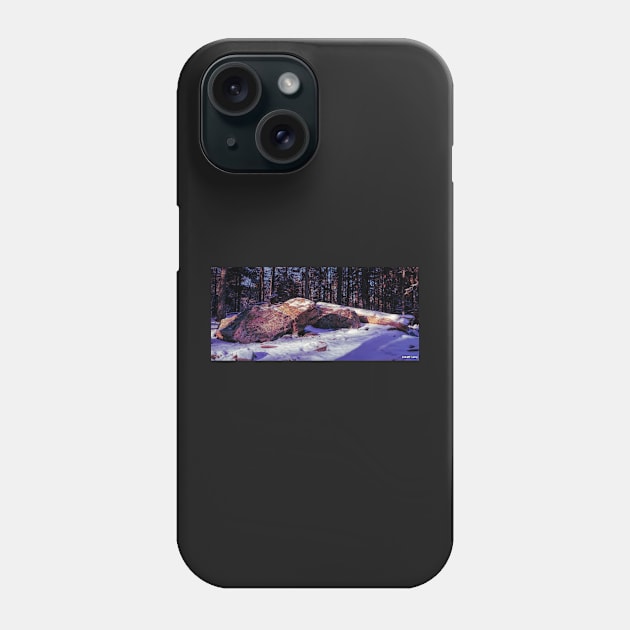 Hemlock Ravine Park 05 Phone Case by kenmo