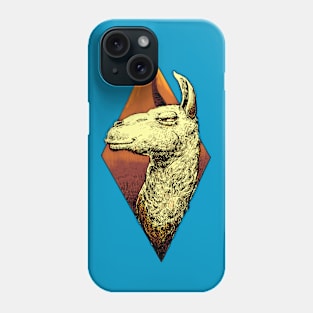 Colorful llama Phone Case