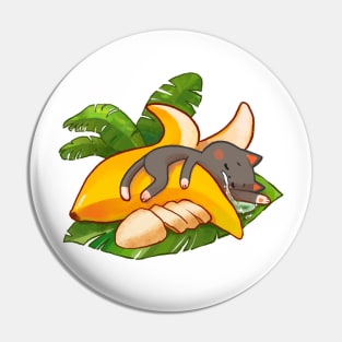 Cute cat sleeping in a banana Pin