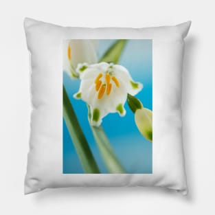 Leucojum aestivum  &#39;Gravetye Giant&#39;  AGM  Summer snowflake Pillow