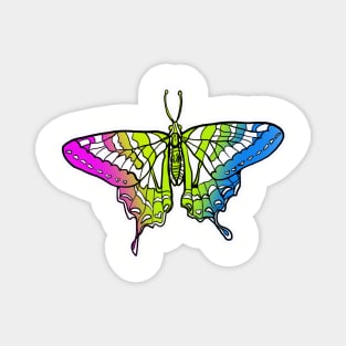 Pansexual Pride Butterfly Magnet