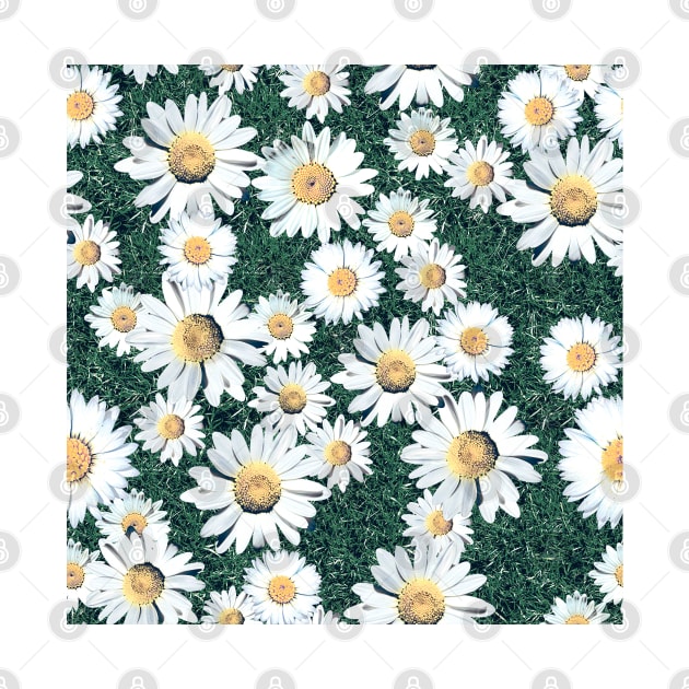 Daisy Blossom Seamless Pattern with Grass. Meadow by ilhnklv