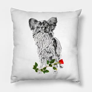 Valentines Papillon With Rose Pillow