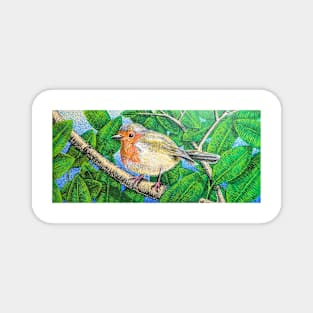 English Robin color ink Magnet