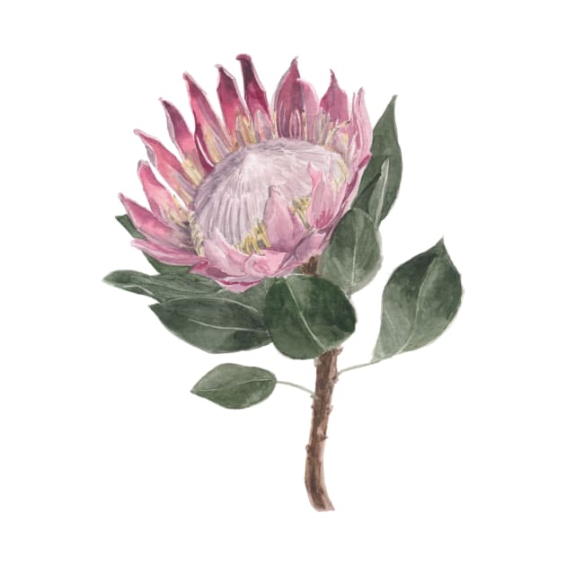 Pink Protea Flower Watercolour Painting by Flowering Words