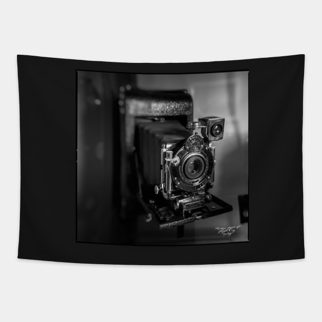 Kodak Automatic Tapestry by MikaelJenei