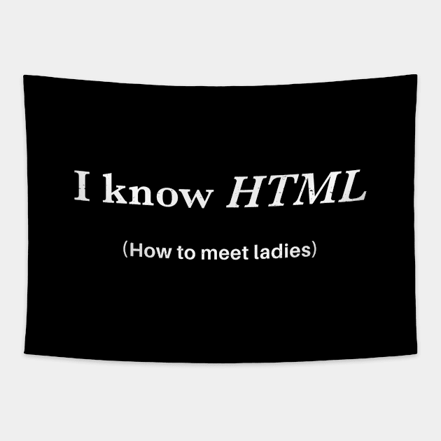 I know HTML (how to meet ladies) Tapestry by BodinStreet