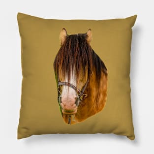 Horse Pillow