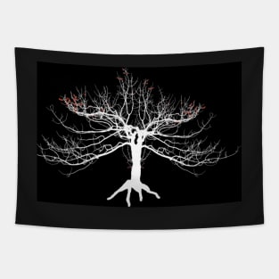 White bare tree with a few red remaining leaves on black background Tapestry