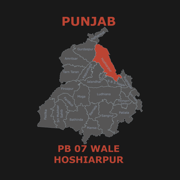 Punjab 07 Wale Hoshiarpur by Lazy Dad Creations