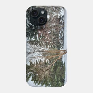 Alberta Winter 03 Phone Case